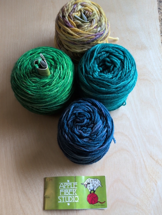 Apple Fiber Studio Other - Apple Fiber Studio  Hand-Dyed Yarn Worsted Weight- 4 Partial Skeins De-stash
